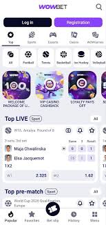 Ашық ойын шарттары Түсінік және маңыздылығы