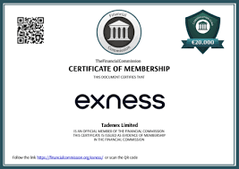 Comprehensive Guide to Exness Web Platform Comprehensive Guide to Exness Web Platform